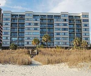 Carolina Dunes